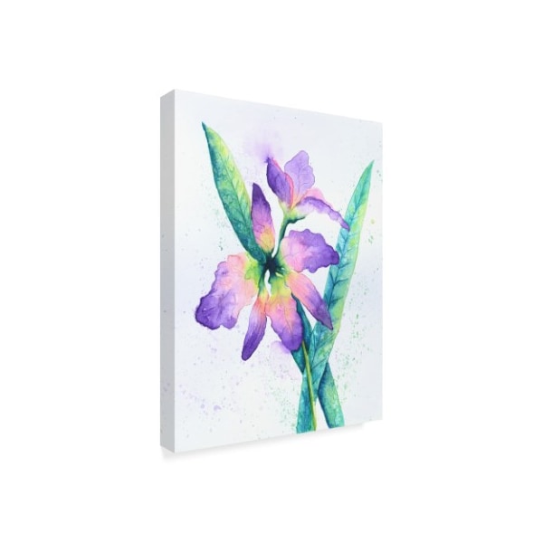 Michelle Faber 'Purple Orchid On White' Canvas Art,14x19